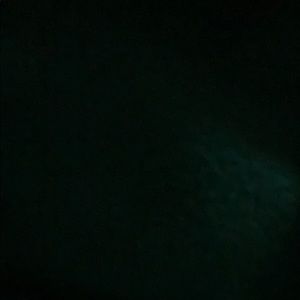 Meet your Posher, Bella